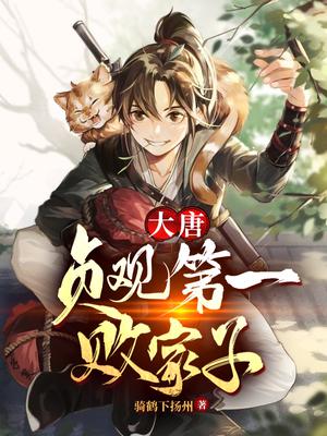 大唐:贞观第一败家子