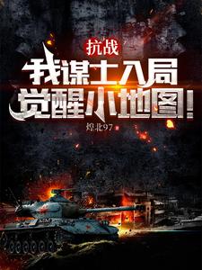 抗战:我谋士入局,觉醒小地图!